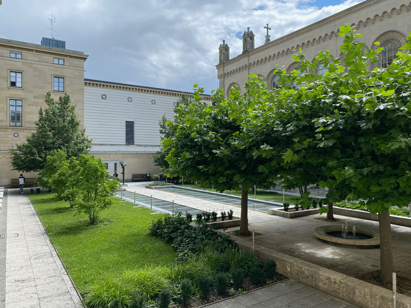 View from the steps into the garden