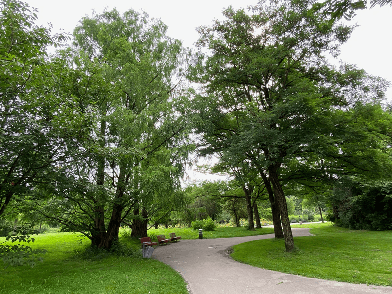 The Ostpark with benches under the trees.