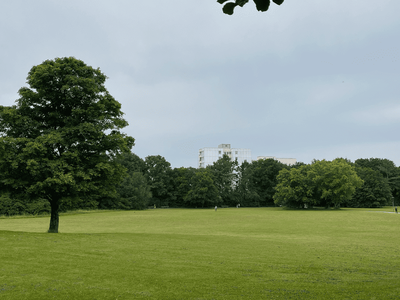 The meadows of the Ostpark