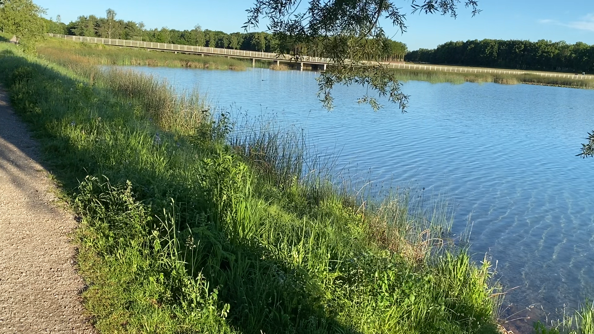 Pedestrian bridge in the background