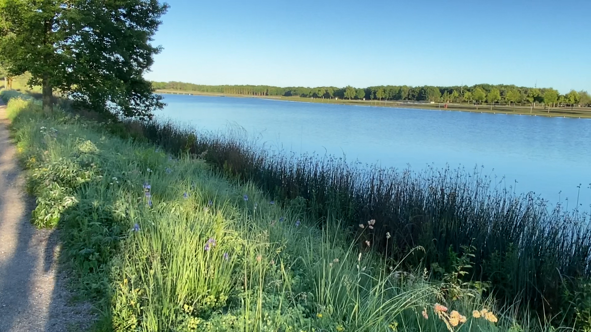 View of the lake Riemer See from the east